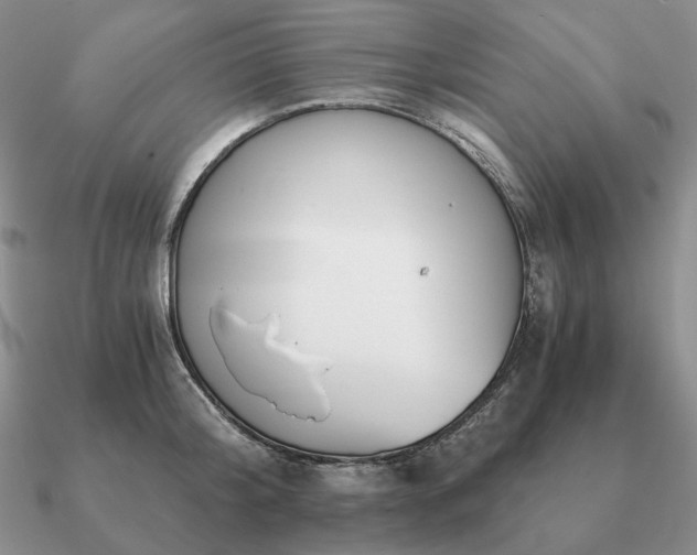 X0000090920804200708061542