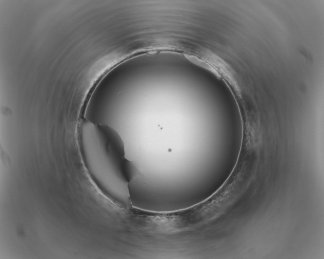 X0000090920805200708061542