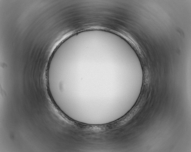 X0000090920806200708061541