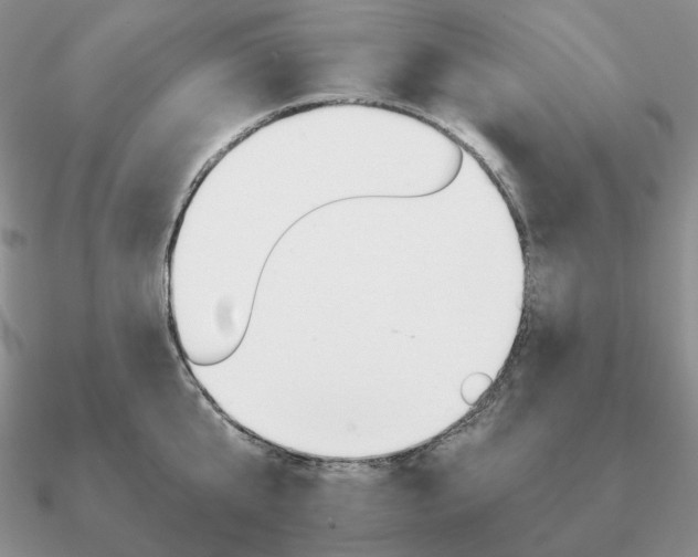 X0000090920807200708061541