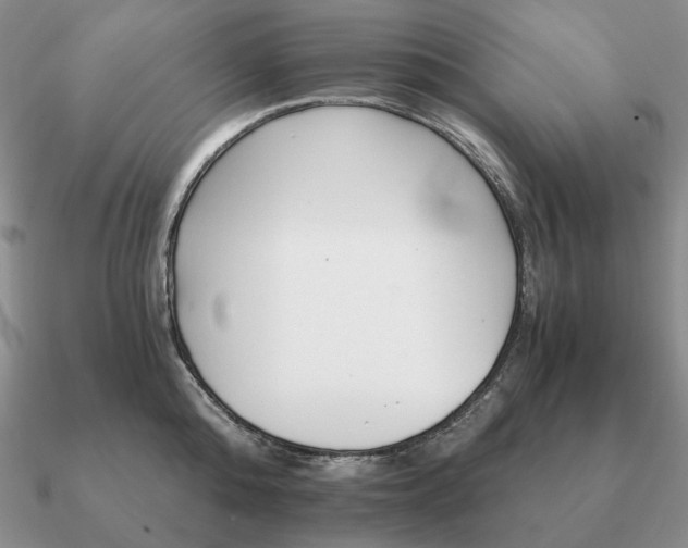 X0000090920808200708061541