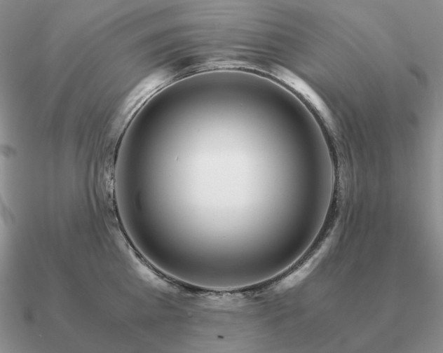 X0000090920809200708061541