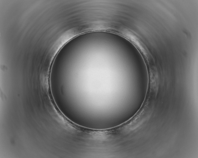 X0000090920810200708061541