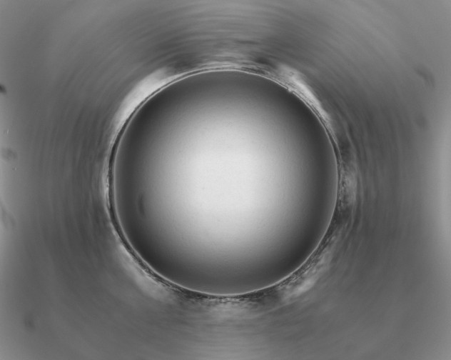 X0000090920811200708061541