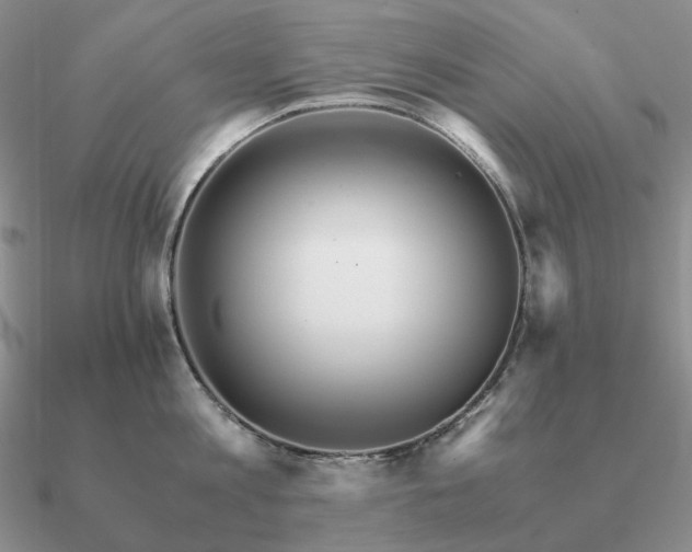 X0000090920813200708061541