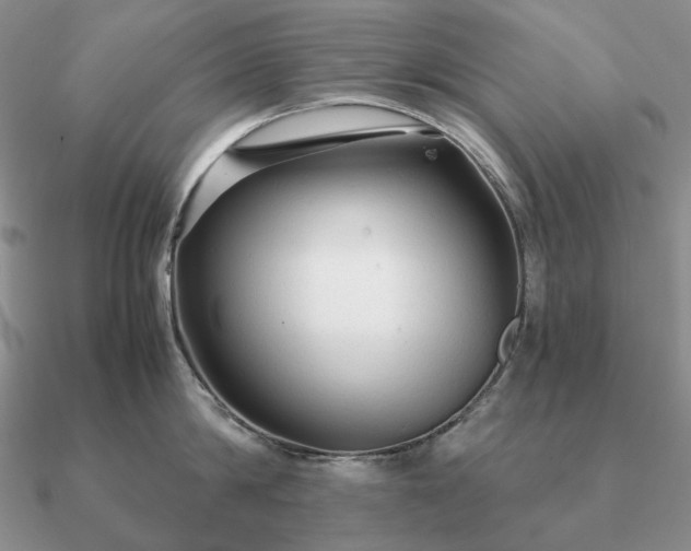 X0000090920814200708061541