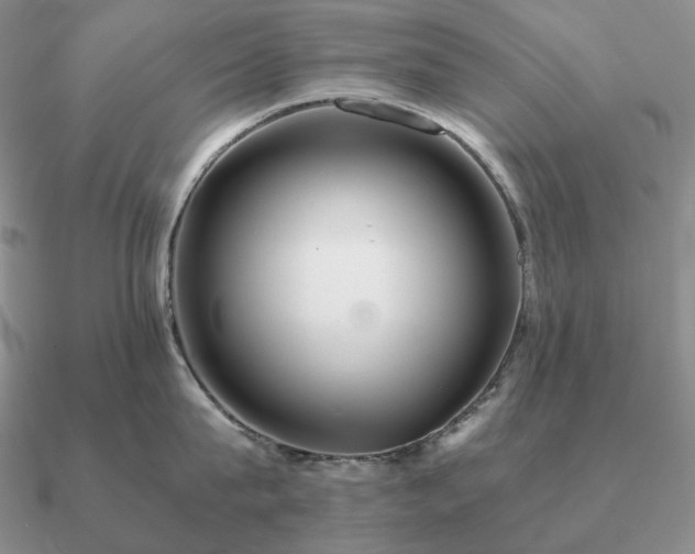 X0000090920815200708061541