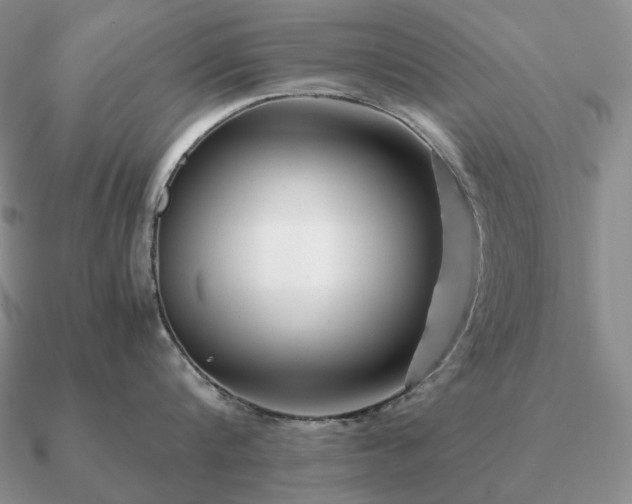 X0000090920816200708061541