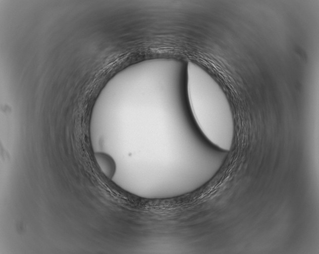 X0000090920817200708061541