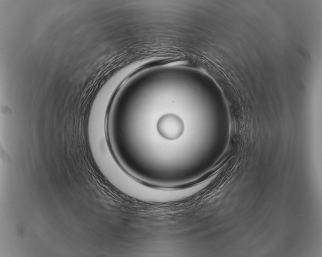 X0000090920818200708061541