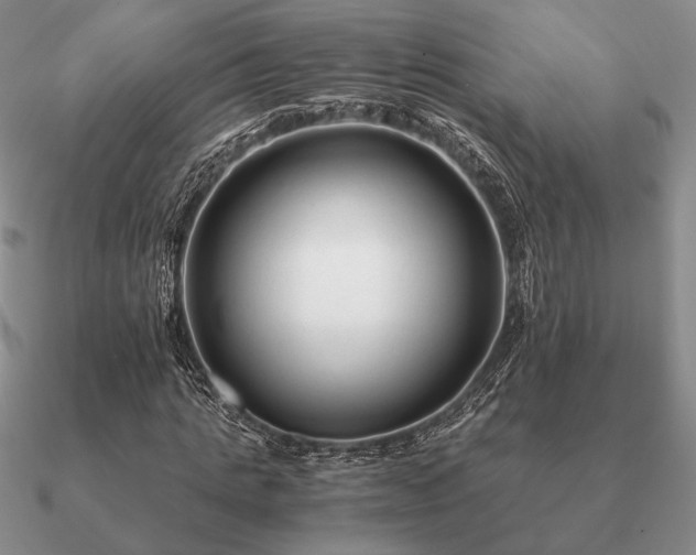 X0000090920821200708061541