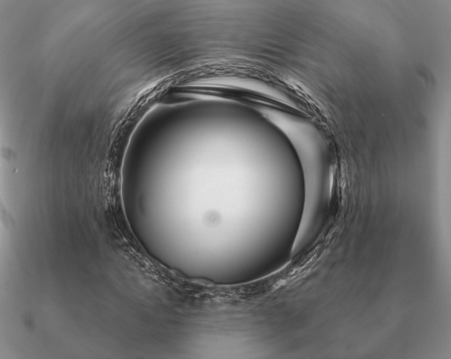 X0000090920822200708061541