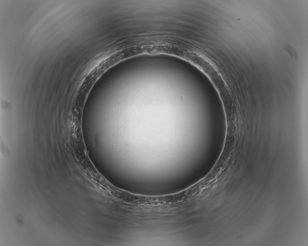 X0000090920823200708061541