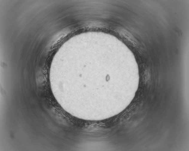 X0000090920824200708061541