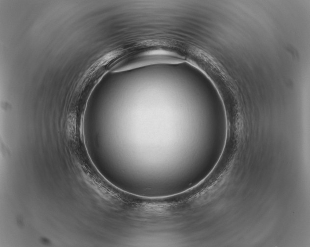 X0000090920825200708061541