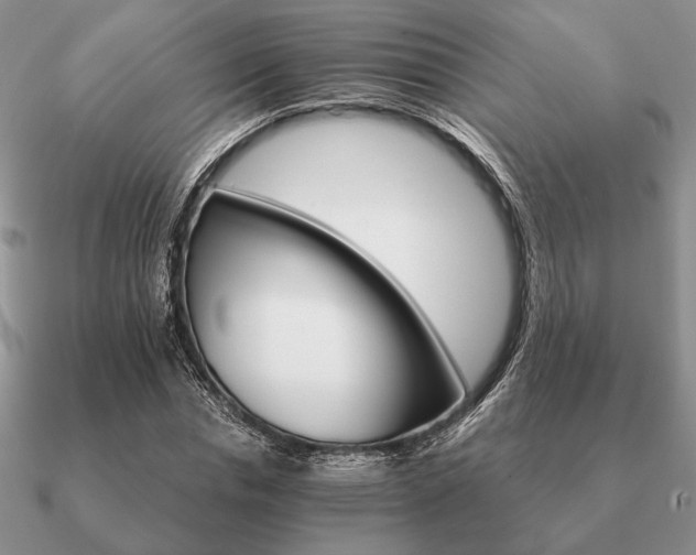 X0000090920826200708061541