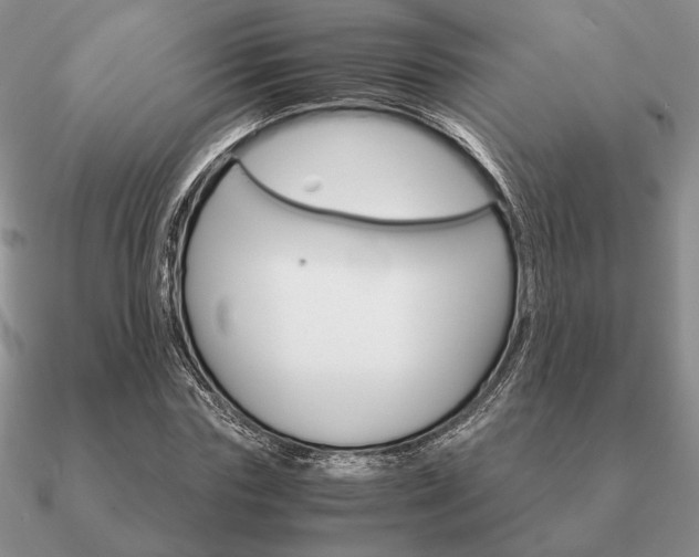 X0000090920827200708061541