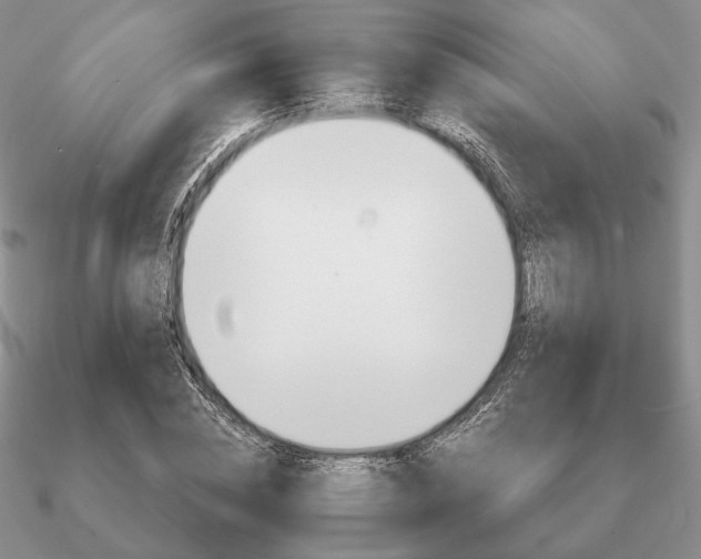 X0000090920828200708061541