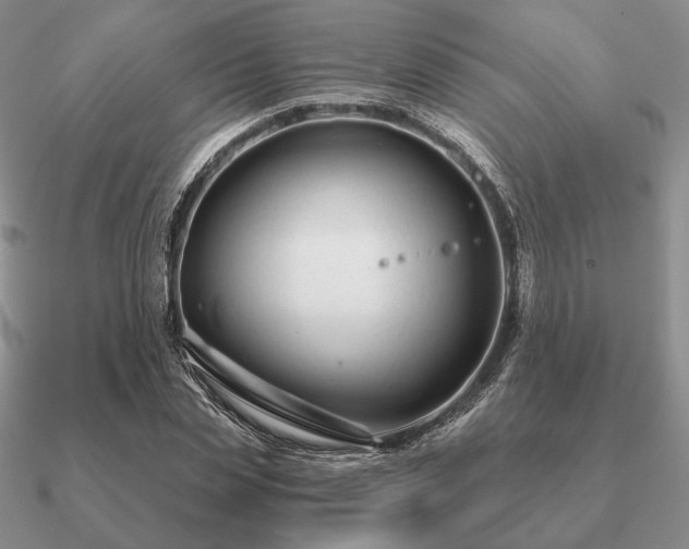 X0000090920829200708061541