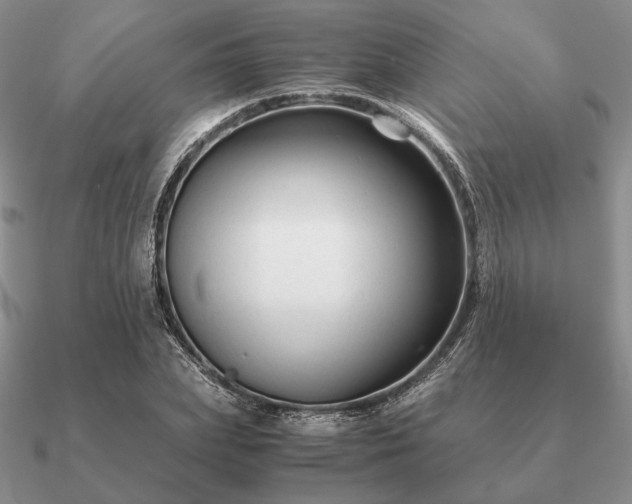 X0000090920831200708061541