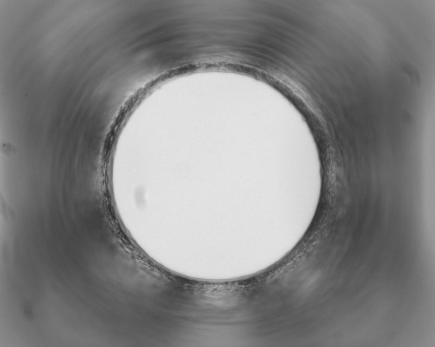 X0000090920832200708061541