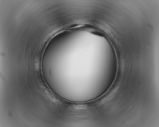 X0000090920833200708061541