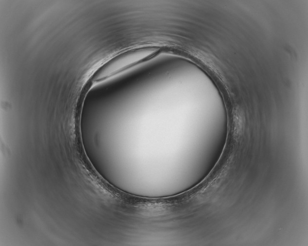 X0000090920834200708061541