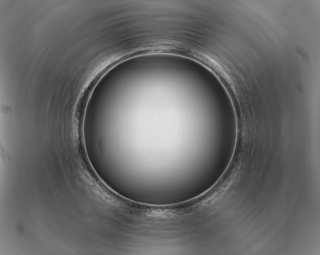 X0000090920835200708061541