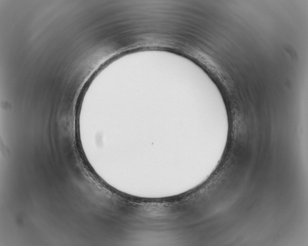 X0000090920836200708061541