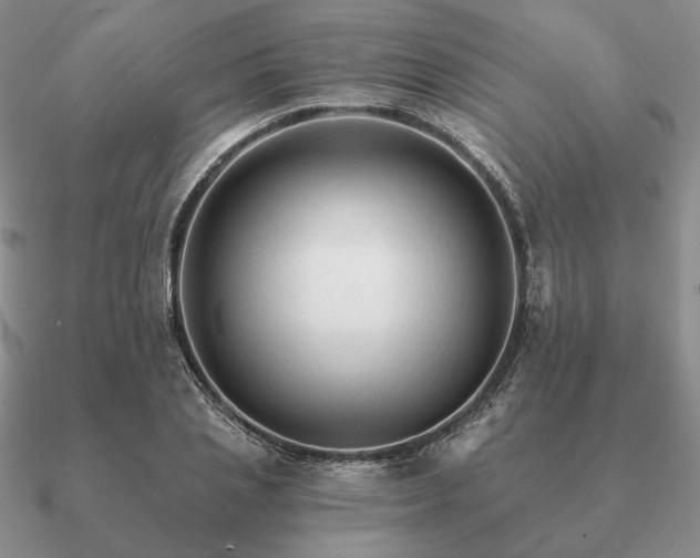 X0000090920837200708061541