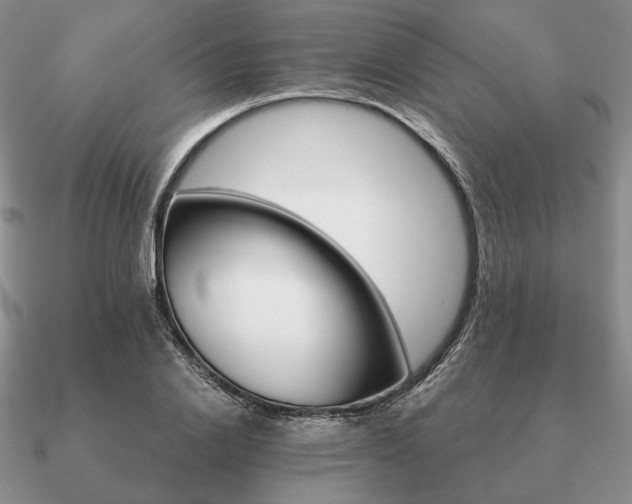 X0000090920838200708061541