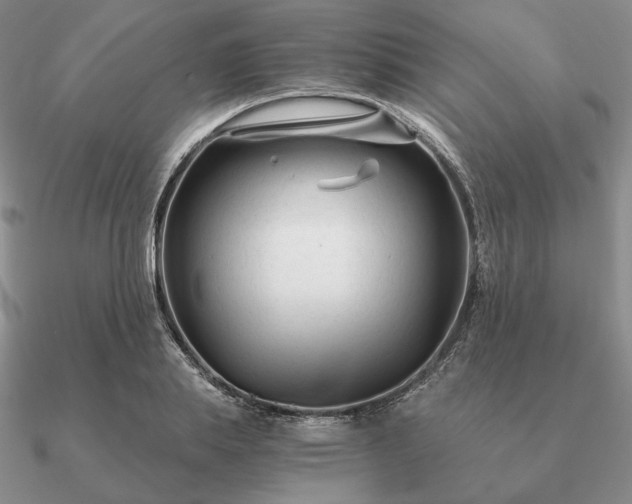 X0000090920839200708061541