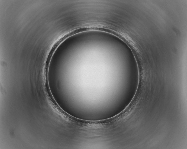 X0000090920840200708061541