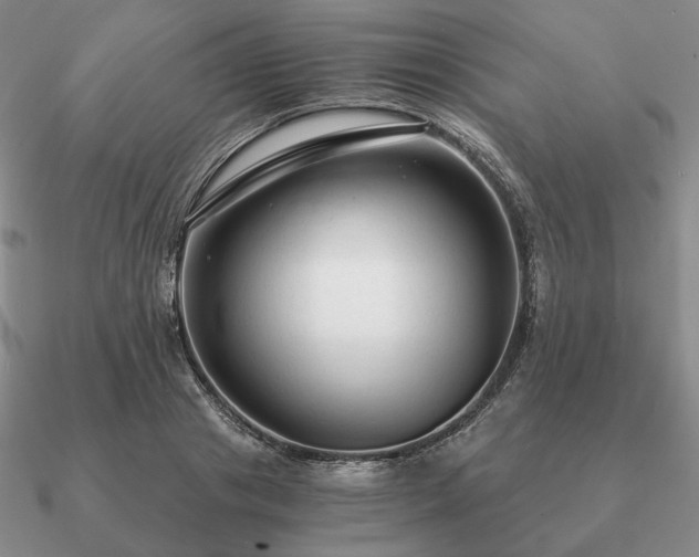 X0000090920841200708061541