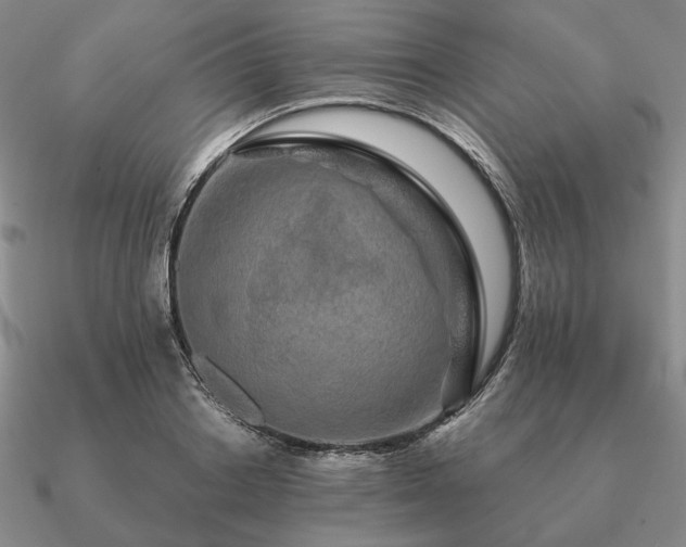 X0000090920842200708061541