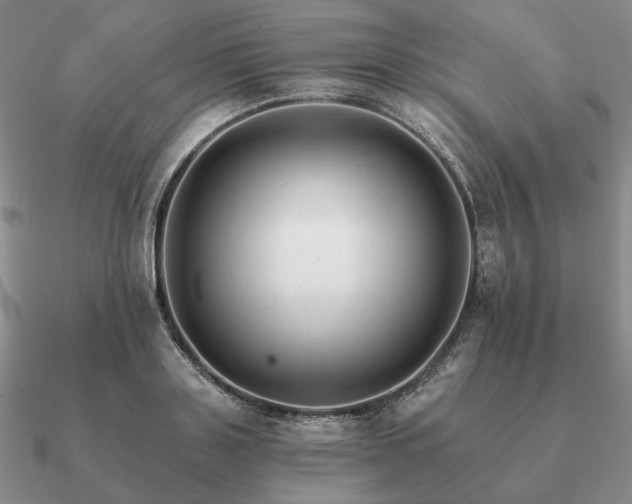 X0000090920843200708061541