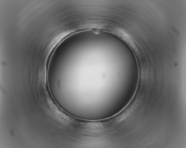 X0000090920844200708061541