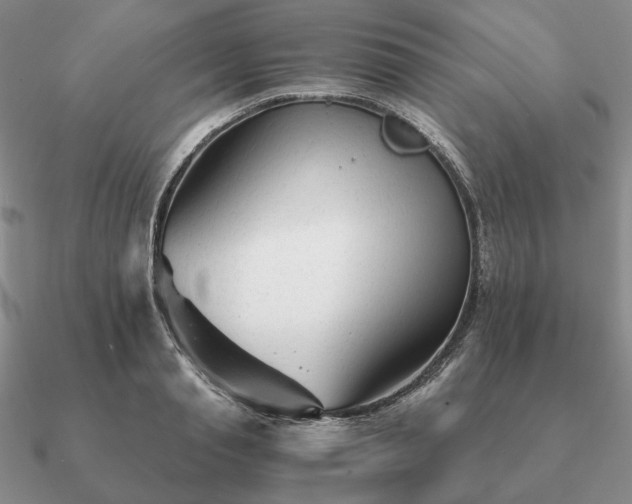 X0000090920845200708061541