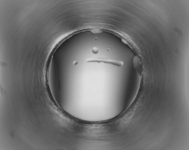 X0000090920846200708061541