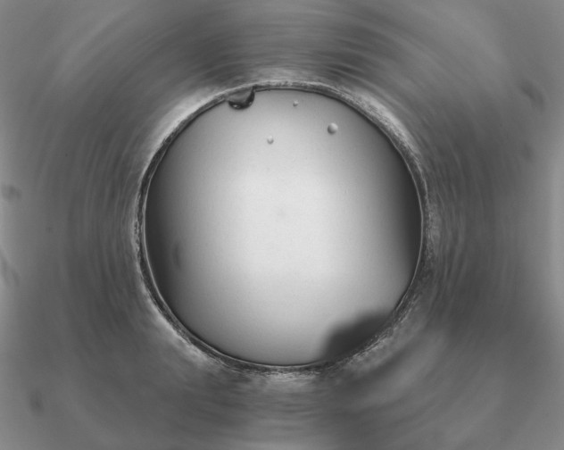 X0000090920847200708061541