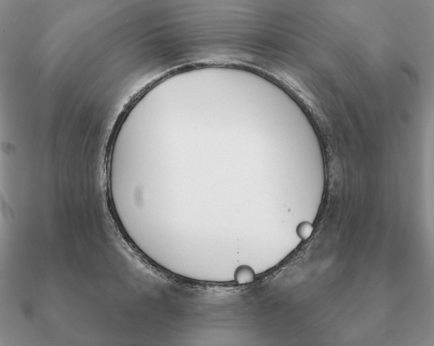 X0000090920848200708061541