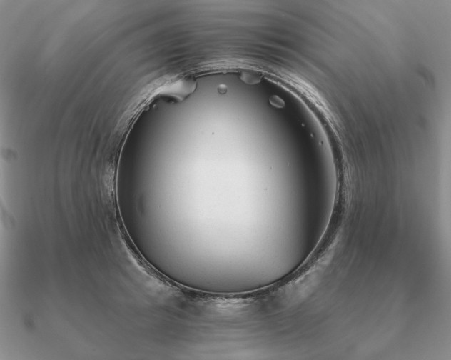 X0000090920849200708061541