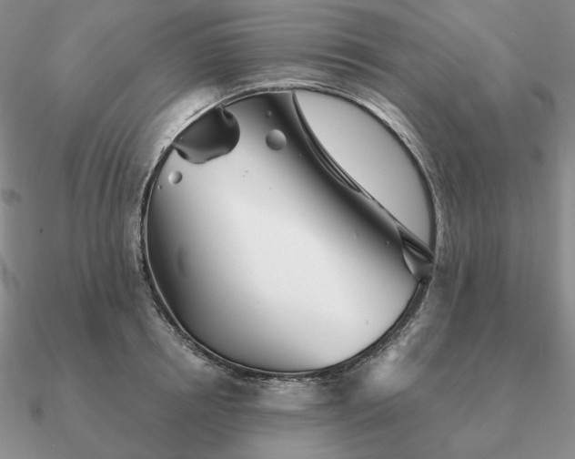 X0000090920850200708061541