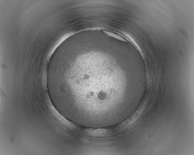 X0000090920851200708061541