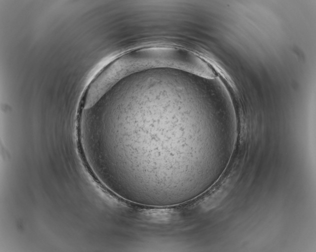 X0000090920853200708061541