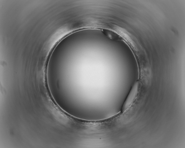 X0000090920854200708061541