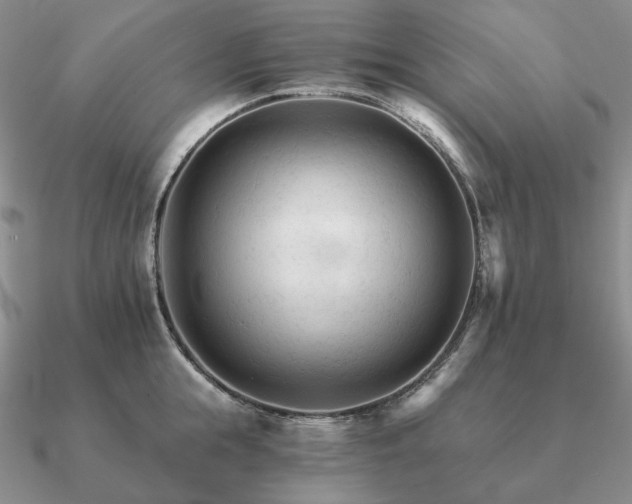 X0000090920855200708061541