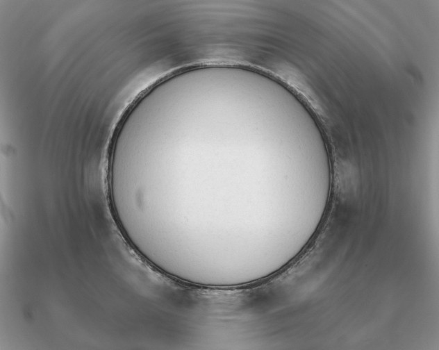 X0000090920856200708061541