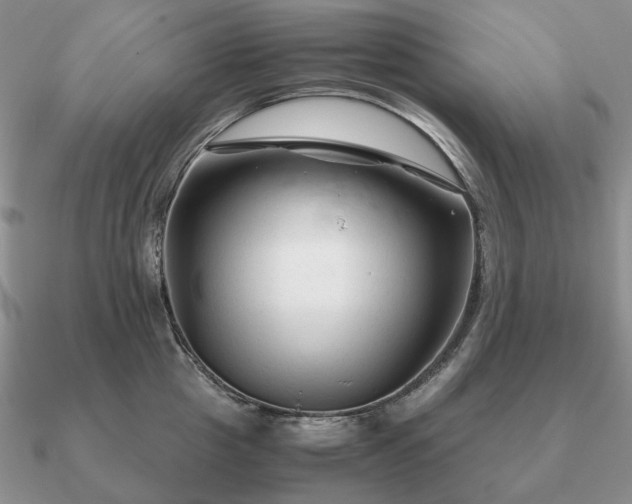 X0000090920857200708061541