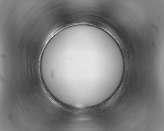 X0000090920858200708061541